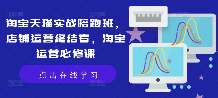 淘宝天猫实战陪跑班，店铺运营终结者，淘宝运营必修课-林文副业站