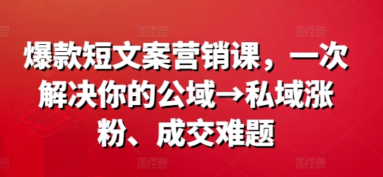 爆款短文案营销课，一次解决你的公域→私域涨粉、成交难题-林文副业站