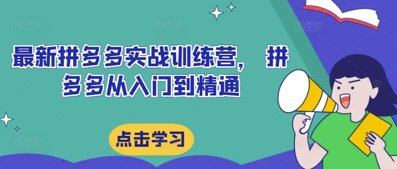 最新拼多多实战训练营， 拼多多从入门到精通-林文副业站