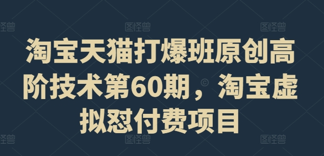 淘宝天猫打爆班原创高阶技术第60期，淘宝虚拟怼付费项目-林文副业站