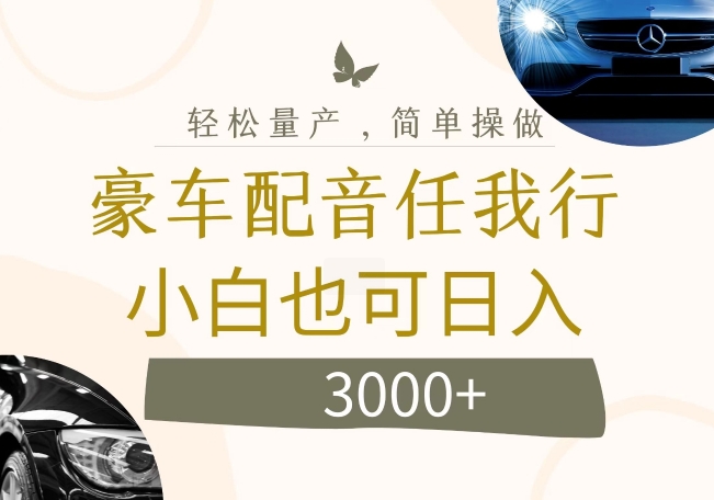 不为人知的暴力小项目，豪车配音，日入几张【揭秘】-林文副业站