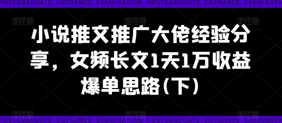 小说推文推广大佬经验分享，女频长文1天1万收益爆单思路(下)-林文副业站