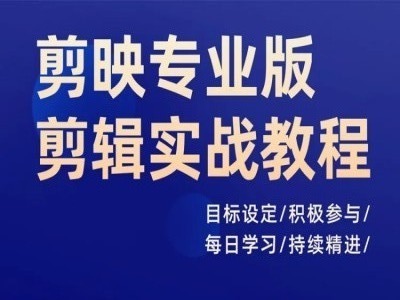 剪映专业版剪辑实战教程，目标设定/积极参与/每日学习/持续精进-林文副业站