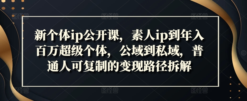 新个体ip公开课，素人ip到年入百万超级个体，公域到私域，普通人可复制的变现路径拆解-林文副业站