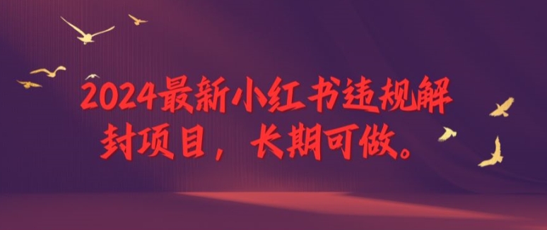 2024最新小红书违规解封项目，长期可做，一个可以做到退休的项目【揭秘】-林文副业站