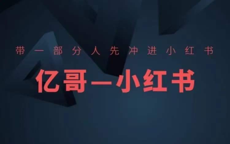 ​​带一部分人先冲进小红书，小红书开店、选品、爆款裂变-林文副业站