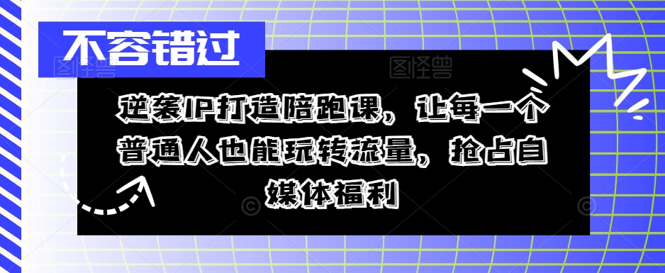 逆袭IP打造陪跑课，让每一个普通人也能玩转流量，抢占自媒体福利-林文副业站