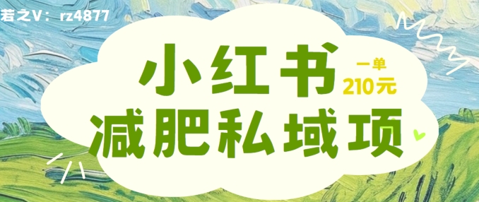 小红书减肥粉，私域变现项目，一单就达210元，小白也能轻松上手【揭秘】-林文副业站