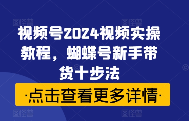 视频号2024视频实操教程，蝴蝶号新手带货十步法-林文副业站