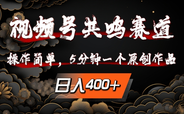 视频号共鸣赛道，操作简单，5分钟1个原创作品，日入几张【揭秘】-林文副业站