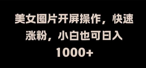 美女图片开屏操作，快速涨粉，小白也可日入1k【揭秘】-林文副业站
