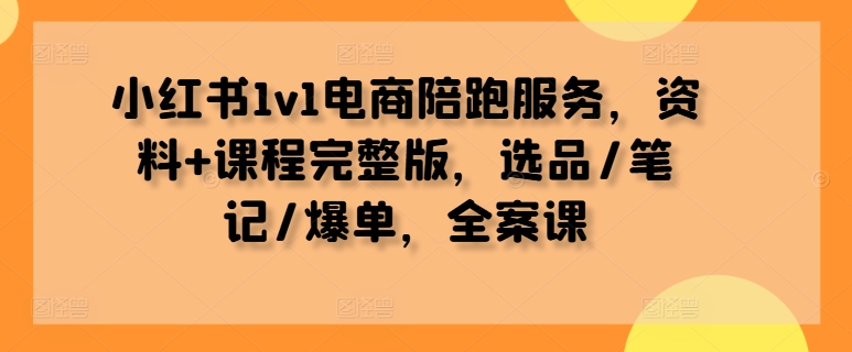 小红书1v1电商陪跑服务，资料+课程完整版，选品/笔记/爆单，全案课-林文副业站