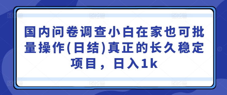国内问卷调查小白在家也可批量操作(日结)真正的长久稳定项目，日入1k【揭秘】-林文副业站
