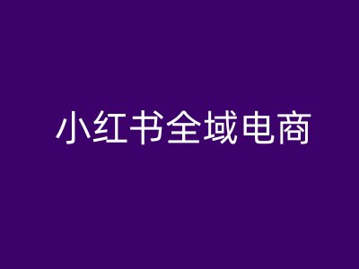 小红书全域电商，小红书电商教程-林文副业站