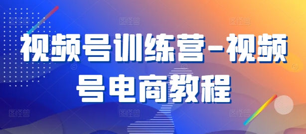 视频号训练营-视频号电商教程-林文副业站