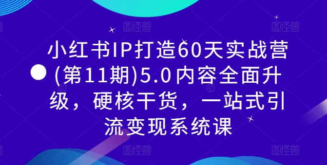 小红书IP打造60天实战营(第11期)5.0​内容全面升级，硬核干货，一站式引流变现系统课-林文副业站