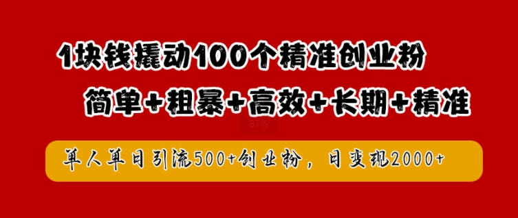 1块钱撬动100个精准创业粉，简单粗暴高效长期精准，单人单日引流500+创业粉，日变现2k【揭秘】-林文副业站