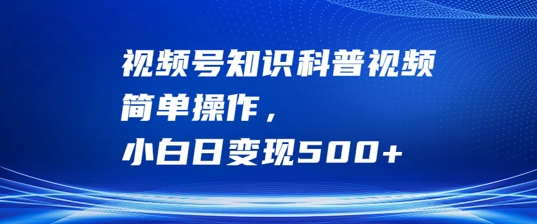 视频号知识科普视频，简单操作，小白日变现500+【揭秘】-林文副业站