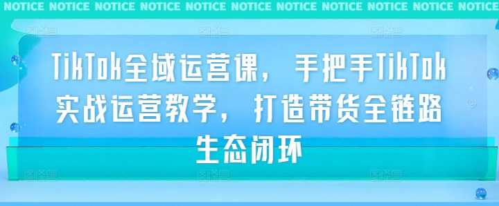 TikTok全域运营课，手把手TikTok实战运营教学，打造带货全链路生态闭环-林文副业站