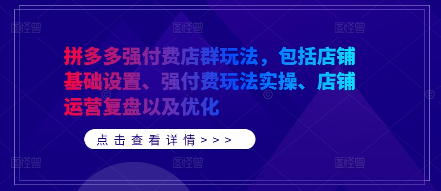 拼多多强付费店群玩法，包括店铺基础设置、强付费玩法实操、店铺运营复盘以及优化-林文副业站