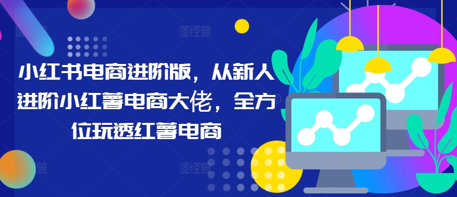 小红书电商进阶版，从新人进阶小红薯电商大佬，全方位玩透红薯电商-林文副业站