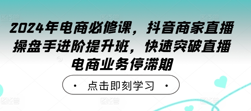 2024年电商必修课，抖音商家直播操盘手进阶提升班，快速突破直播电商业务停滞期-林文副业站