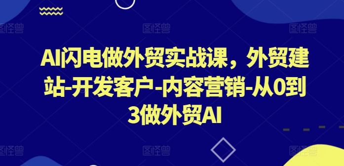 AI闪电做外贸实战课，​外贸建站-开发客户-内容营销-从0到3做外贸AI（更新）-林文副业站