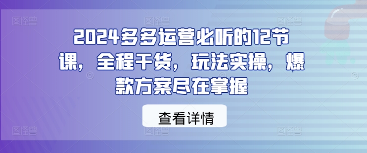 2024多多运营必听的12节课，全程干货，玩法实操，爆款方案尽在掌握-林文副业站