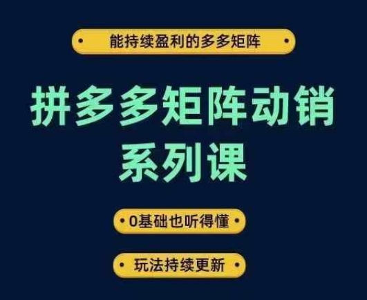 拼多多矩阵动销系列课，能持续盈利的多多矩阵，0基础也听得懂，玩法持续更新-林文副业站