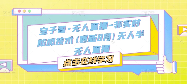 宝子哥·无人直播-非实时防风技术(更新9月)无人半无人直播-林文副业站