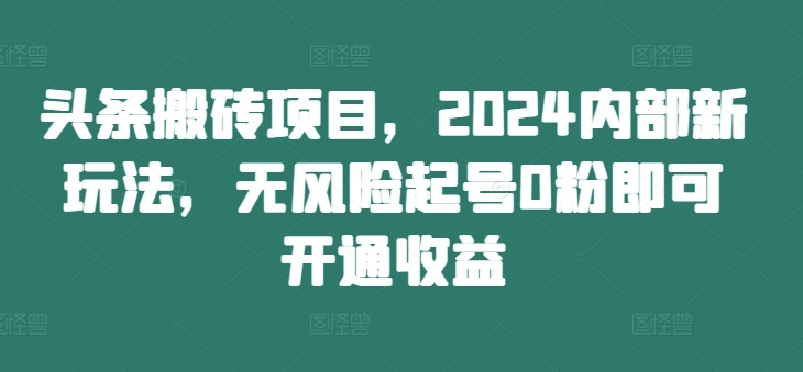 头条搬砖项目，2024内部新玩法，无风险起号0粉即可开通收益-林文副业站