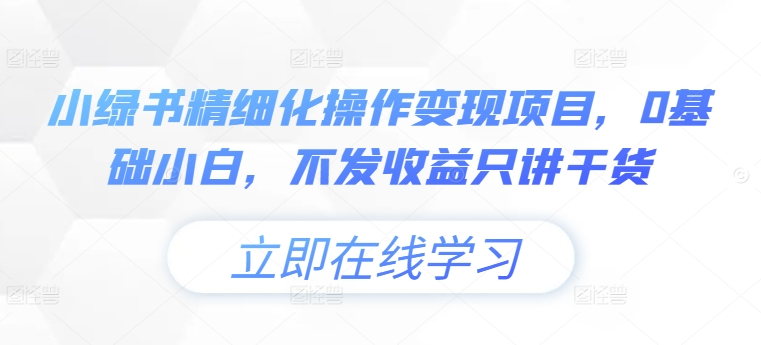 小绿书精细化操作变现项目，0基础小白，不发收益只讲干货-林文副业站