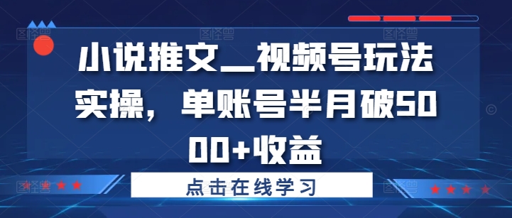 小说推文—视频号玩法实操，单账号半月破5000+收益-林文副业站