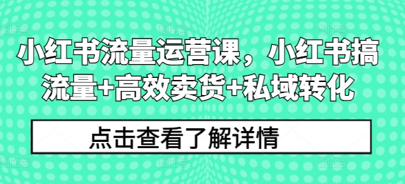 小红书流量运营课，小红书搞流量+高效卖货+私域转化-林文副业站