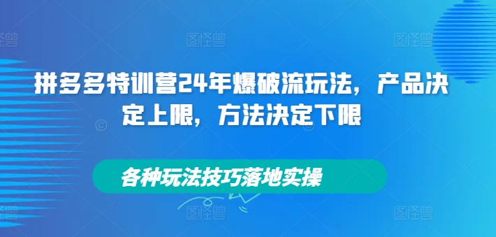 拼多多特训营24年爆破流玩法，产品决定上限，方法决定下限，各种玩法技巧落地实操-林文副业站