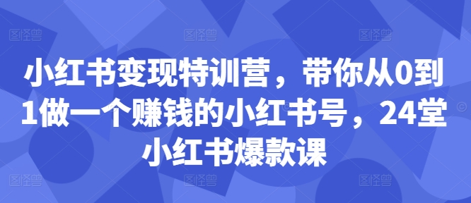 小红书变现特训营，带你从0到1做一个赚钱的小红书号，24堂小红书爆款课-林文副业站