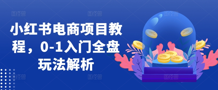小红书电商项目教程，0-1入门全盘玩法解析-林文副业站