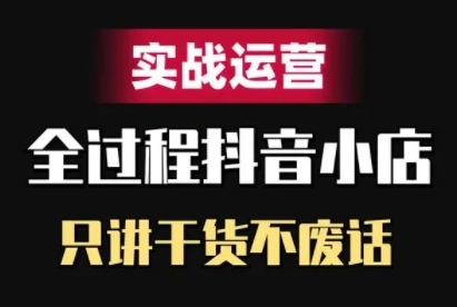 抖音小店精细化实战运营，只讲干货不废话-林文副业站