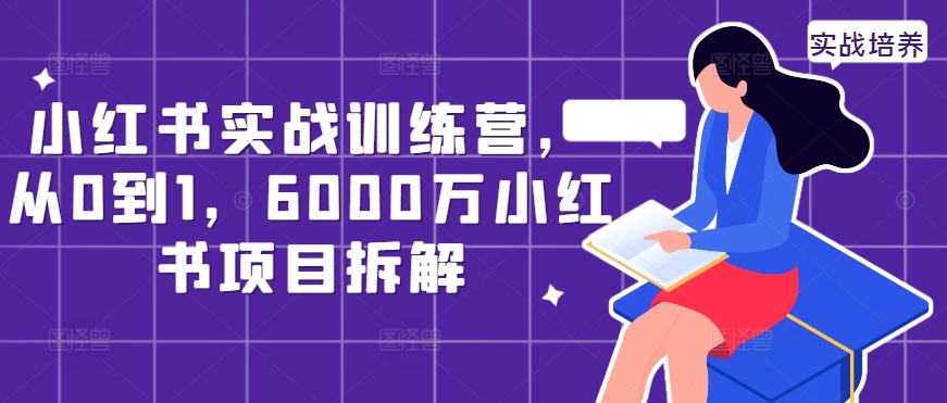 小红书实战训练营，从0到1，6000万小红书项目拆解-林文副业站