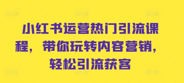 小红书运营热门引流课程，带你玩转内容营销，轻松引流获客-林文副业站