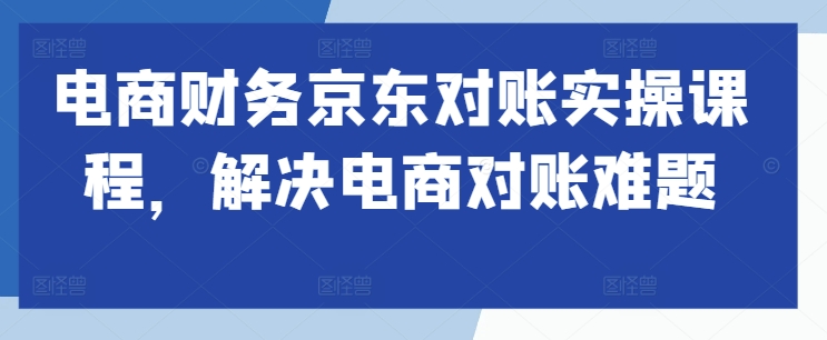 电商财务京东对账实操课程，解决电商对账难题-林文副业站