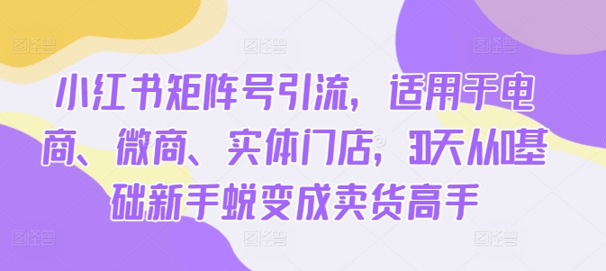 小红书矩阵号引流，适用于电商、微商、实体门店，30天从0基础新手蜕变成卖货高手-林文副业站