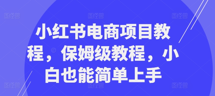 小红书电商项目教程，保姆级教程，小白也能简单上手-林文副业站