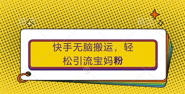 快手无脑搬运，轻松引流宝妈粉，纯小白轻松上手【揭秘】-林文副业站