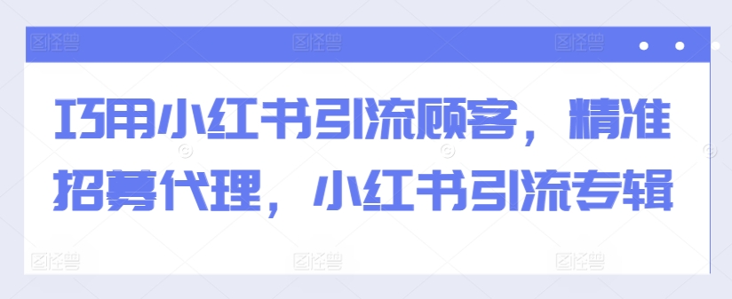 巧用小红书引流顾客，精准招募代理，小红书引流专辑-林文副业站