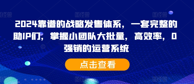 2024靠谱的战略发售体系，一套完整的助IP们，掌握小团队大批量，高效率，0 强销的运营系统-林文副业站