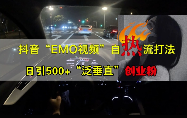 抖音EMO视频自热打法，日引500+“泛垂直”创业粉-林文副业站