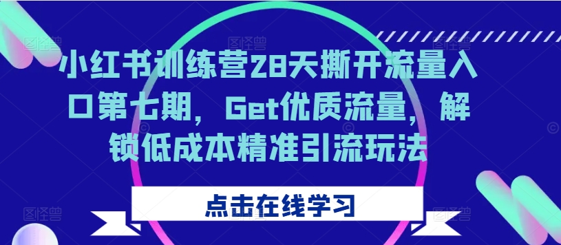 小红书训练营28天撕开流量入口第七期，Get优质流量，解锁低成本精准引流玩法-林文副业站