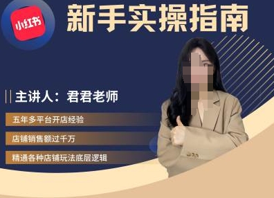 君君-小红书电商从入门到精通，新手实操指南-林文副业站