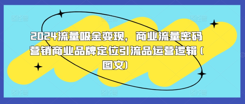 2024流量吸金变现，商业流量密码营销商业品牌定位引流品运营逻辑(图文)-林文副业站